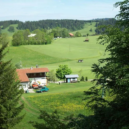 Am Skihang / Bergwiese *