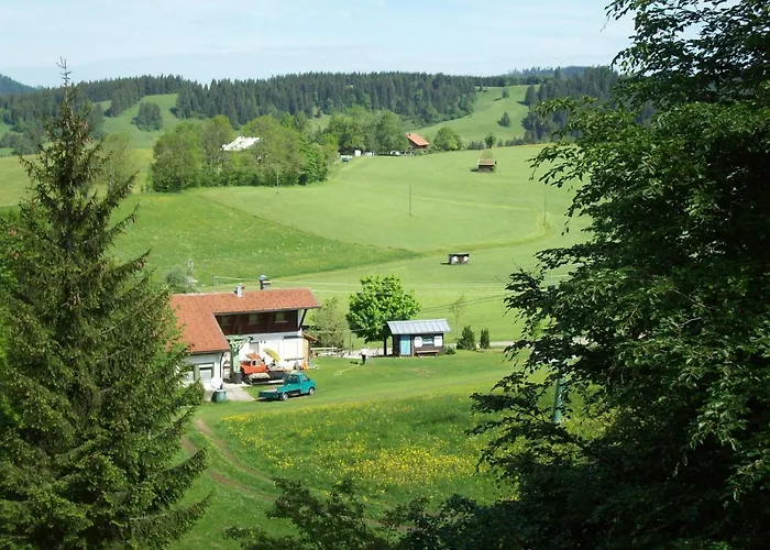 Am Skihang / Bergwiese *