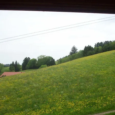 Am Skihang / Bergwiese
