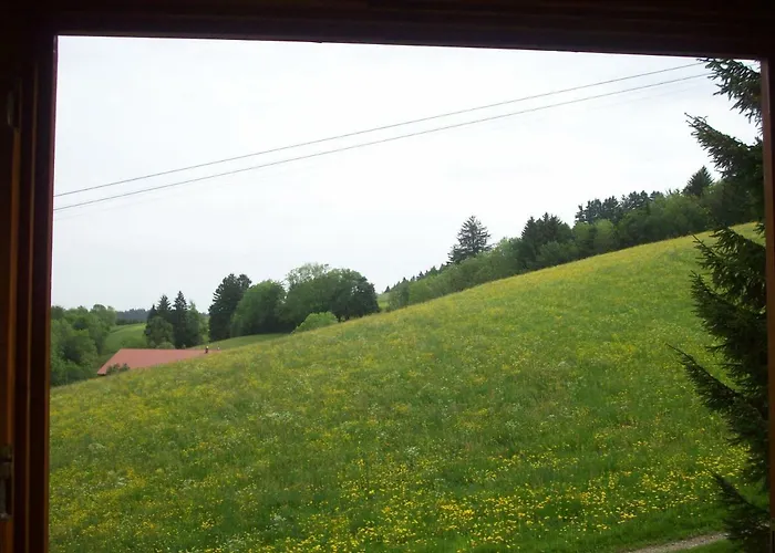 Am Skihang / Bergwiese