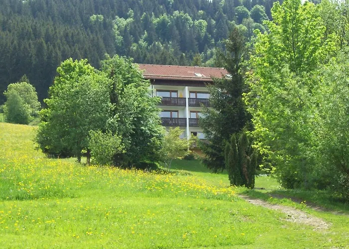 Am Skihang / Bergwiese * Missen-Wilhams