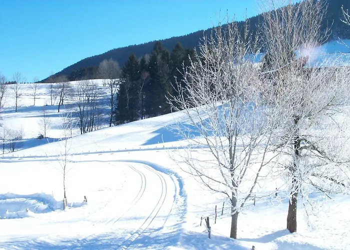아파트 Am Skihang / Bergwiese *